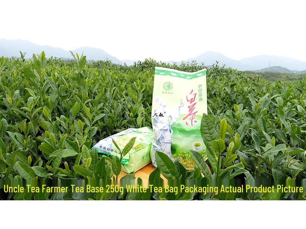 Uncle Phoenix Mao Feng White Tea - Pre-Rain First Grade 2025 Spring Green Tea