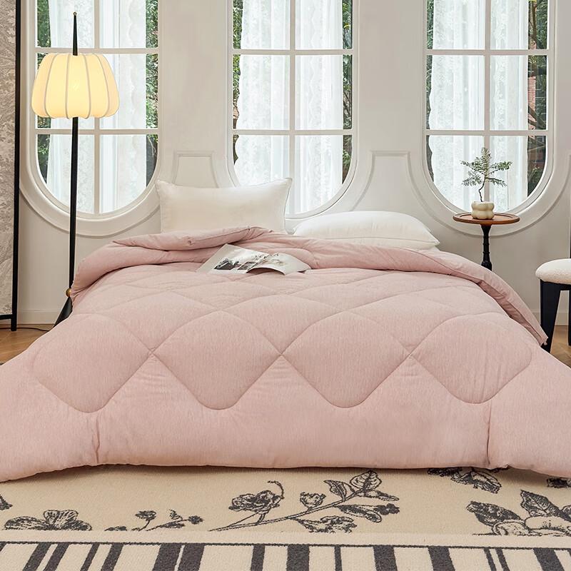 Baifudi All-Season Down Alternative Duvet Insert