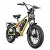 EAhora Terra Black/Green/Blue 1000W Single Motor 48V15AH Detachable Battery 20 * 4.0-inch Tire City Road with Suspension Electric Bicycle