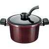 Vacuum Stew Pot - Easily Recreate That Overnight-rested Flavor! IH/Gas Compatible. Bistonia MB-2915