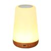 Rechargeable Touch Night Light: 13-Color RGB Bedside Lamp for Creative Bedroom Atmosphere