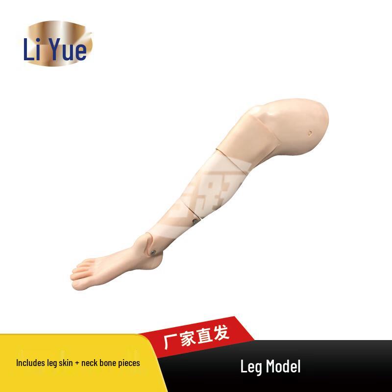 Tibial Intraosseous Infusion & Bone Marrow Training Leg Model