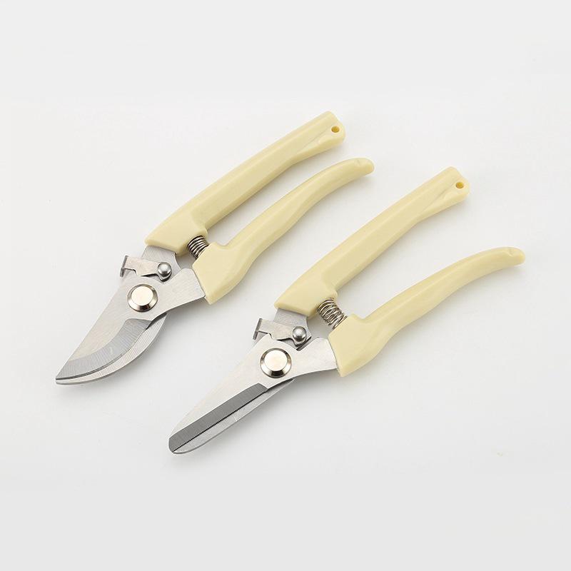 Garden Floral Art Pruning Shears - Branch and Flower Pruners for Horticulture