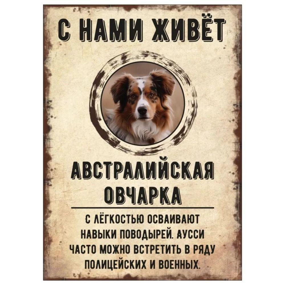 Schild, dekorativ, GEFAHR HUND, Schnauzer lebt bei uns, 20x30cm