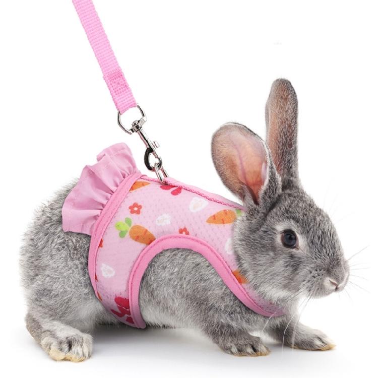 Kaninchen Geschirr und Leine Kleintierkleidung für Kaninchen Meerschweinchen Kleintier