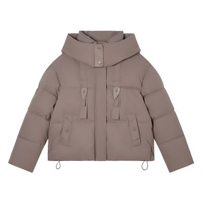 New Student Winter Down Cotton-padded Jacket Female Short Korean Version of Loose Hooded Padded Jacket Coat.