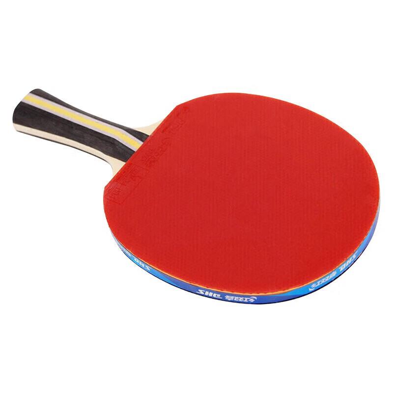 DHS H3002 3-Star Table Tennis Racket