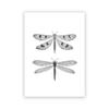 Vintage Moth Nature Insect Prints Posters Home Wall Decor Animal Educational Pictures Canvas Paintings Kids Room Art Decoration