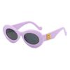 JYL Sunglasses Ellipse Cat Eye UV Travel/WF1207