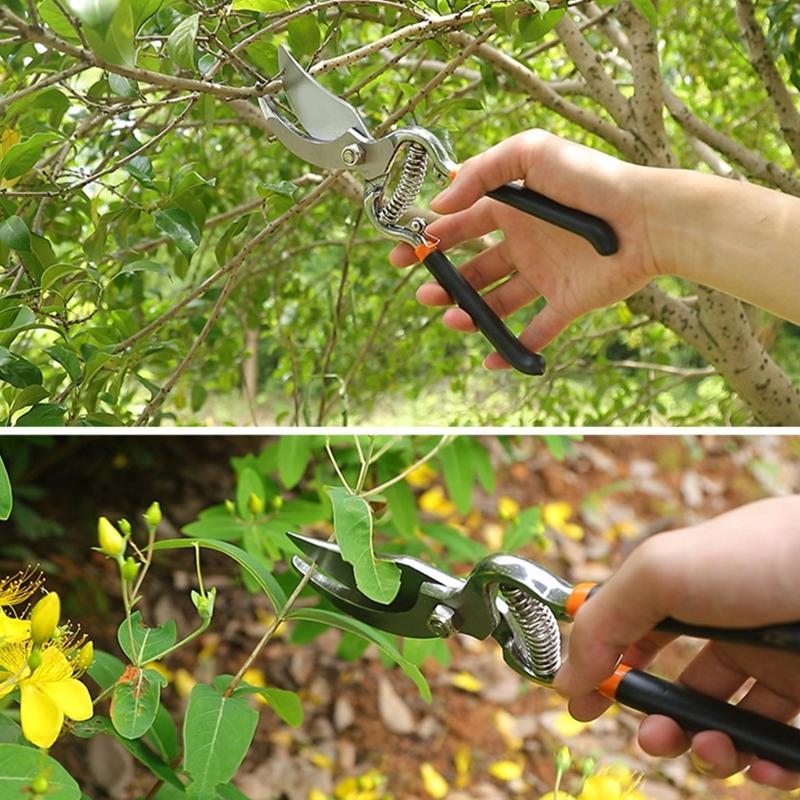 Portable Steel Garden Pruning Clippers for Trimming Plants & Hydroponic Herbs Fruit Trees Pruning Shears Anti-Rust