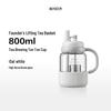 Buydeem 800ml Portable Tea Infuser Glass Bottle