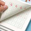 Writing Chinese Book Chinese Characters with Pictures Copybook Fit Kids