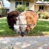 Custom Trendy Bird Nest Heart Outdoor Garden Decor