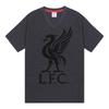 Liverpool FC Mens Short Pyjama Set