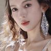 Silver Needle Rhinestone Tassel Earrings: Light Luxury, Geometric Design, Fashionable & Exquisite Studs for Women