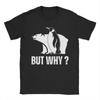 Penguin and Polar Bear But Why Unisexs T Shirts  Leisure Tee Shirt Short Sleeve Crewneck TShirt 100 Cotton Party Clothes