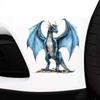Personalized Vinyl Car Stickers Decals Waterproof Window Motorcycle Campervan Bumper Truck Laptop Decorative Vinyl Artwork HE32