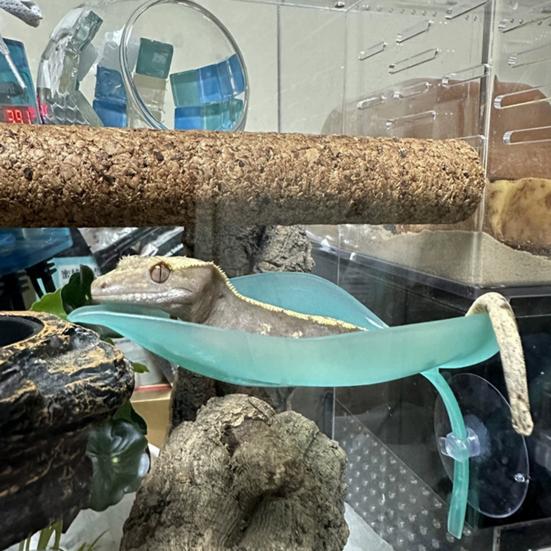 3 stk Skilpadde Solplattform Bladformet Skjeggagam Solplattform med Sugekopper Trefrosk Tanktilbehør for Leopardgekko Tankdekor