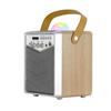 MusicMate MM-SK100 Apex Flex Karaoke Set