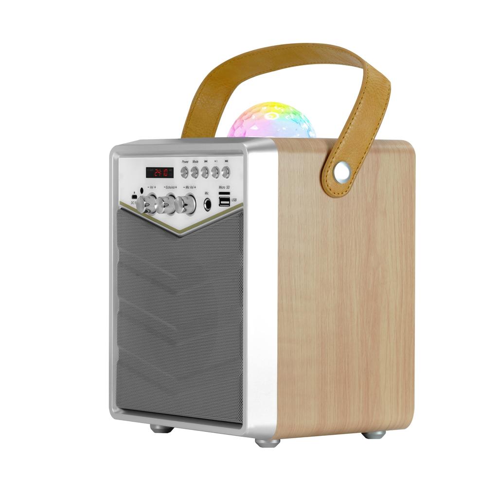 MusicMate MM-SK100 Apex Flex Karaoke Set