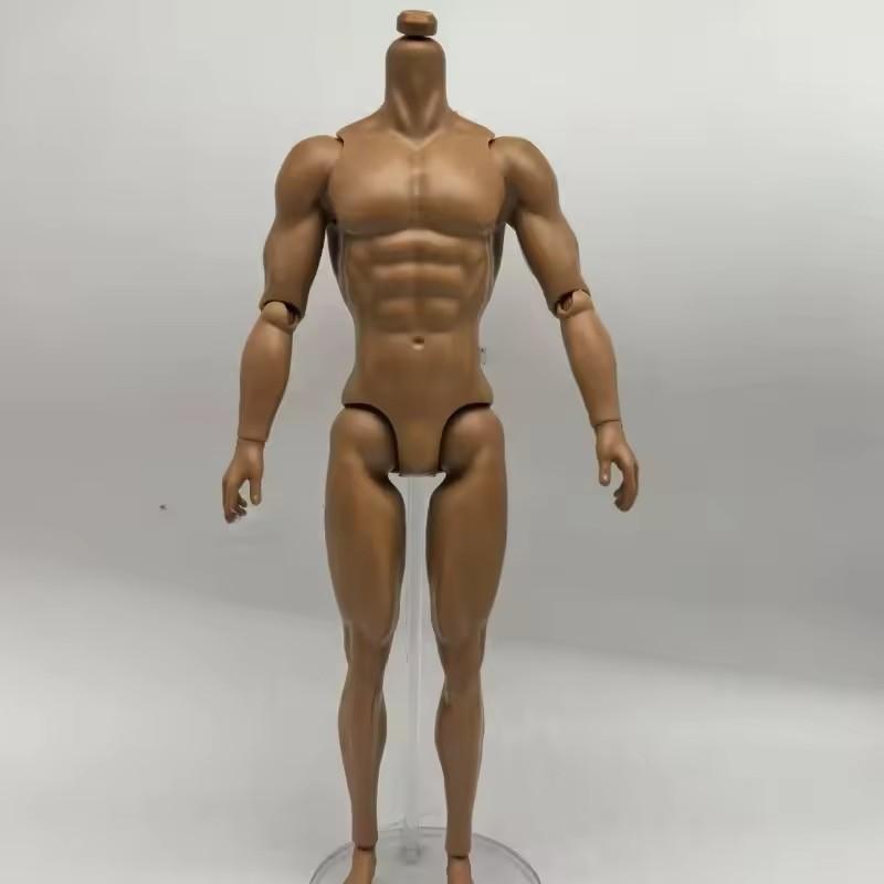 30cm Male Sketch Doll's Movable Kun Body for 1/6 FR Doll With Normal Skin Doll Toys Anime Figure Accessories Draw Mannequin
