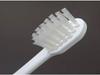 Sanyo Bussan 100-pack of Individually Packaged Disposable Toothbrushes and Toothpaste for Commercial Use. Made In Japan. Hotel Amenity. (100 Pieces)