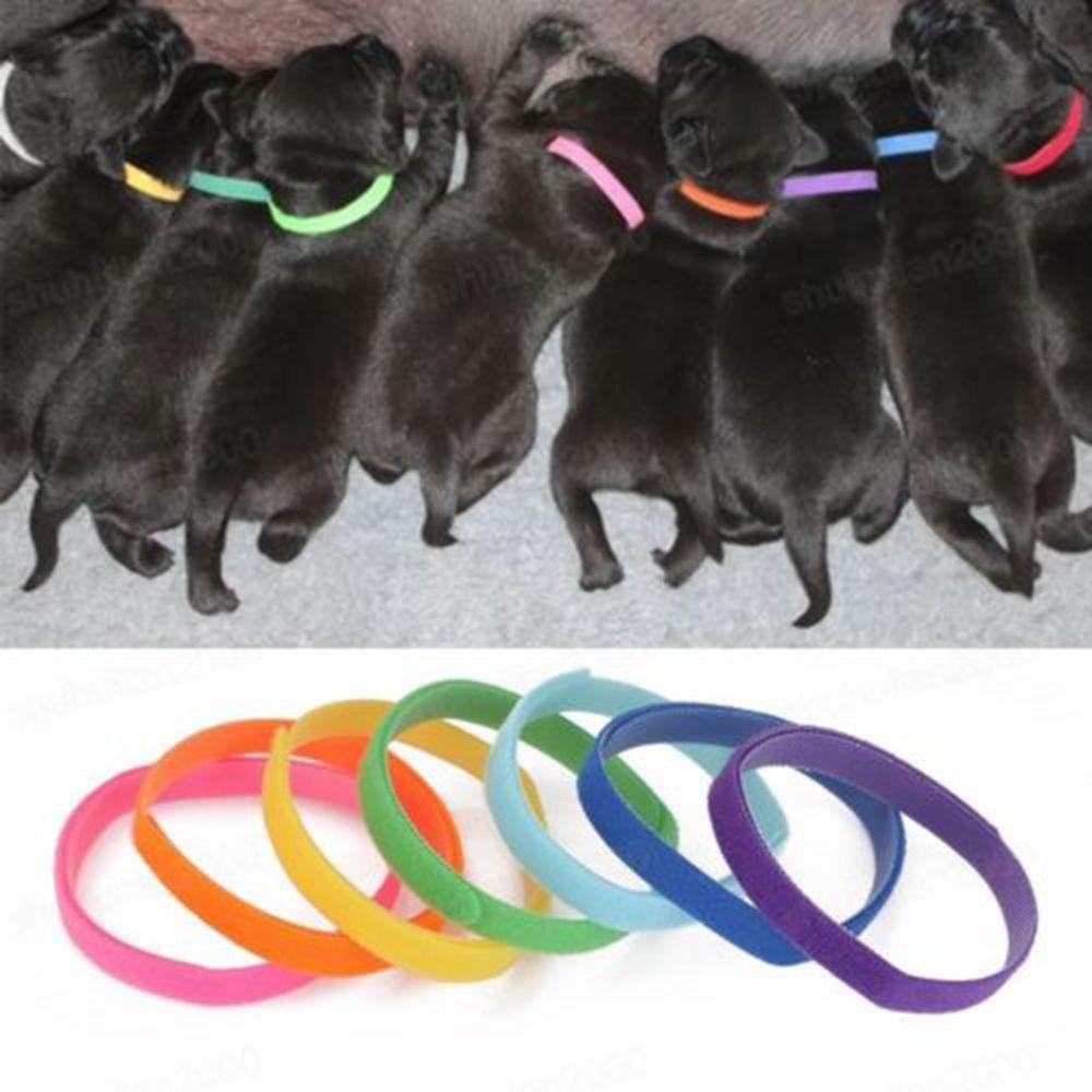 

Кошки Собаки Бирки Брелоки ID Бирка Многоразовая Лента Щенок Нейлоновая Шлейка Собаки Кошки Домашние Животные Веревка Регулируемый Пояс Для Домашних Животных