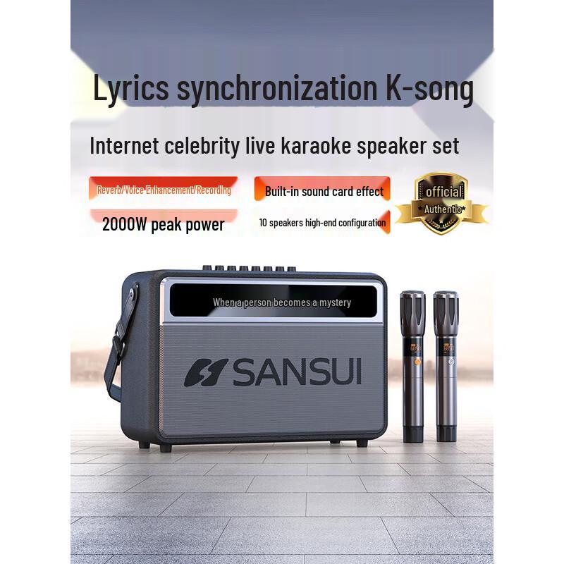 SANSUI G12 High-Power Outdoor Bluetooth Karaoke Speaker