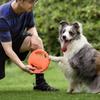 Bite-Resistant Elastic Frisbee Tug Toy for Medium and Small Dogs - Interactive Training for Golden Retrievers and Border Collies.