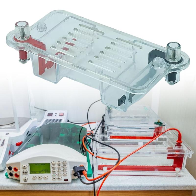 Portable Gel Electrophoresis Tank With Sample Preparation Tool Biology Lab Equipment for Science Classroom Education