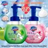 Safeguard Antibacterial Foam Hand Soap Duo Pack