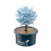 DIY Crystal Growing Magic Tree: Educational Toy for Primary Students