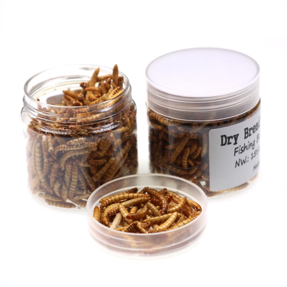 

Bimoo 1 Bottle Carp Fishing Bait Dry Bread Worm Fresh Water Fish Insect Baits Mealworms