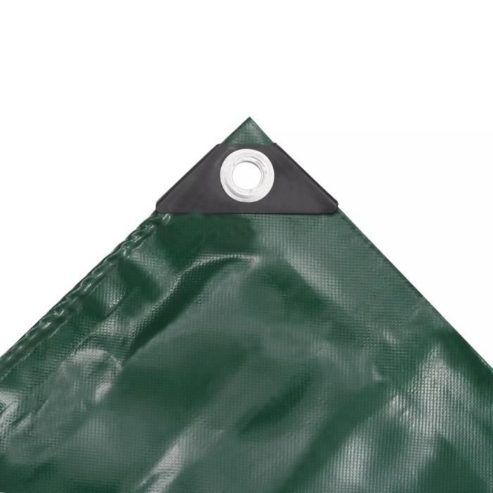 VidaXL Bâche 650 g / m² 3 x 3 m Vert