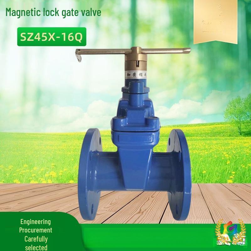 Magnetic Flanged Anti-Theft Gate Valve SZ45X for Farmland Irrigation and Water Management