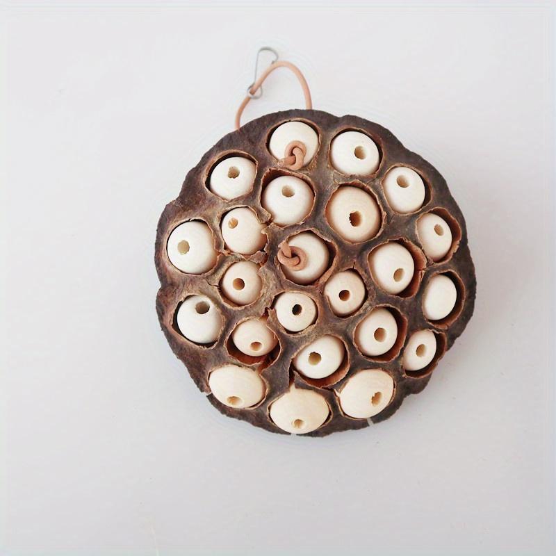 Лотос в форме стручка птица попугай анти кусается натуральная жевательная и кормящаяся игрушка для попугая корелла развлечения зоотовары