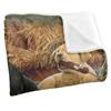 JQ Licensing Silky Labrador Puppies Supersoft Blanket