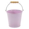 Flower Plant Pots with Handle Iron Potted Hanging Planter Outdoor Flowerpots Basket Bucket Vase Suitable for Food Snacks