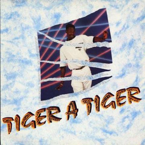 

LP Record TIGER - Tiger A Tiger NNMLPTT003 New Name UK Reggae, Ska & Dub