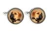 Bullmastiff - Cufflinks, a Shirt Accessory, a Shirt Pendant from the Brand