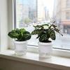 Self Watering Plant Pots Indoor Plants Planter with Reservoir Clear Plastic Round Flower Pot with Wick Ropes for Succulents Herbs Flowers Office Home