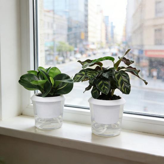 Self Watering Plant Pots Indoor Plants Planter with Reservoir Clear Plastic Round Flower Pot with Wick Ropes for Succulents Herbs Flowers Office Home