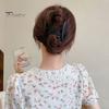 Clips Coc Păr Coardă Elastică Anti-alunecare Pieptene Furcă Robustă Stabilă Strânsă Ușor Accesorii Femei Adulte Gheară Cap Spate