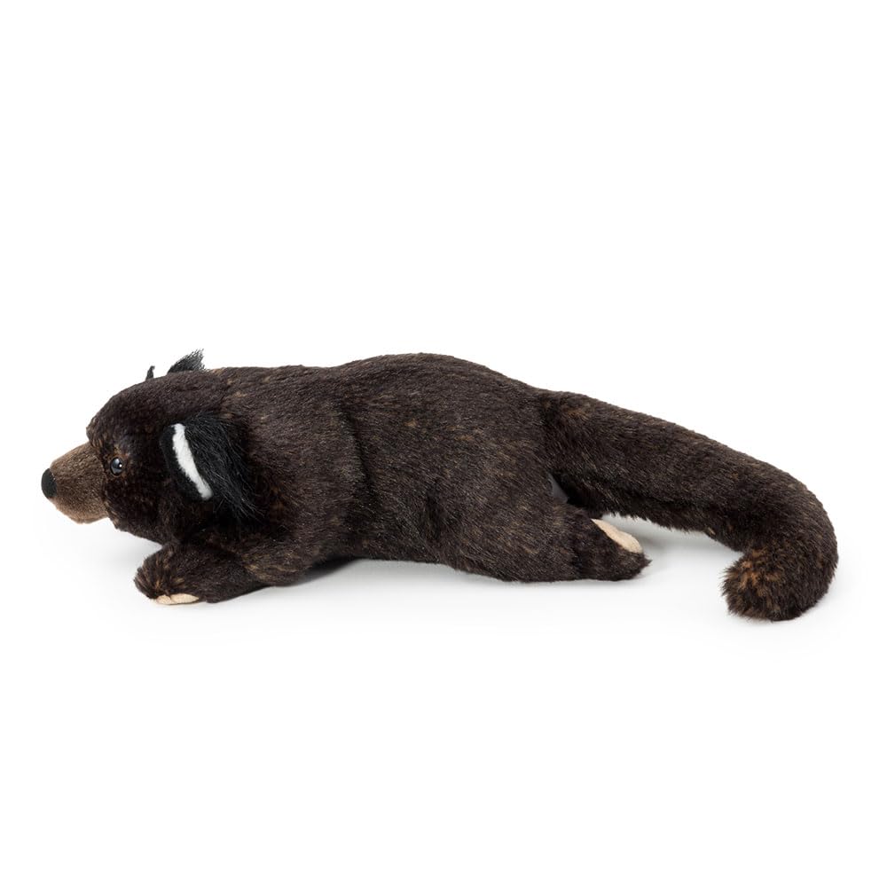 [COLORATA] Colorata Binturong Plush Toy (Lying Down SeriesSoft Touch) Realistic Animal Toy Doll Gift Present Birthday (Twice Checked)  Christmas