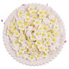 Frangipani Resin Accessories: Handmade White Flower Hair Clips, Ties, Jewelry, Cream Glue, and Phone Case DIY Kits.