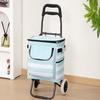 Lightweight Foldable Shopping Cart with Ice Pack for Household and Outdoor Use