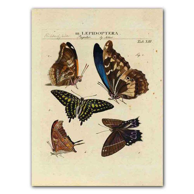 Nordic RETRO Art Canvas Painting Butterfly Insect Evolution Poster Living Room Corridor Wall Painting Home Decoration Mural No Frame