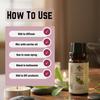 Heroot Pack of 6 Essential Oils 10ml – Frankincense, Eucalyptus, Peppermint, Tea Tree, Rosemary & Lavender | Aroma Oils