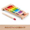Fisher-Price Wooden Toy, Do-Re-Mi-Fa Scale Rainbow Xylophone, Montessori Educational Toy for Babies and Toddlers, Ages 2 and Up, Colorful, HXV13