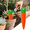 Carrot Shape Auto Flower Waterer Plastic Irrigation Equipment New Plant Waterer  for Plant Watering
